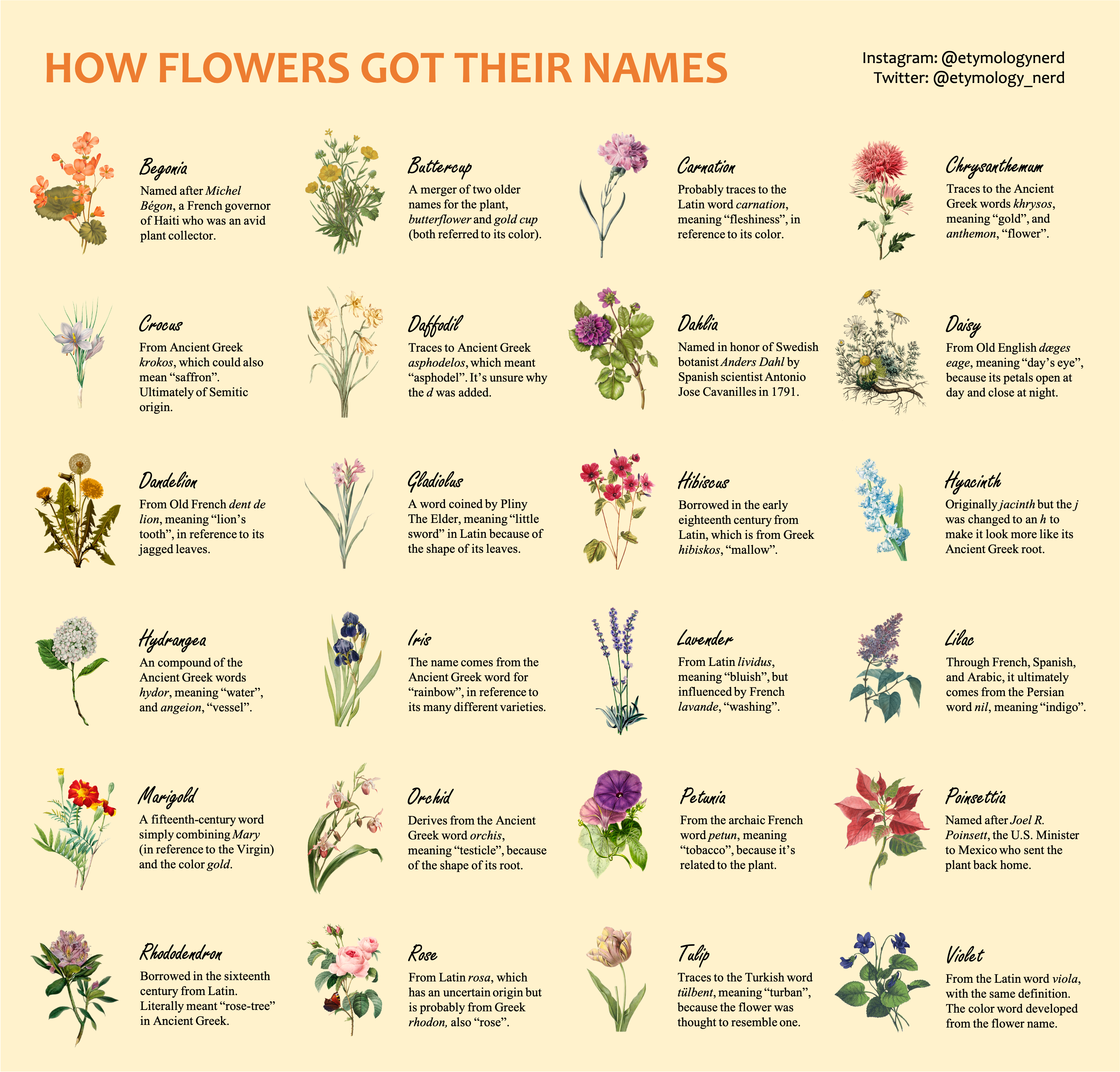 How flowers got their names
