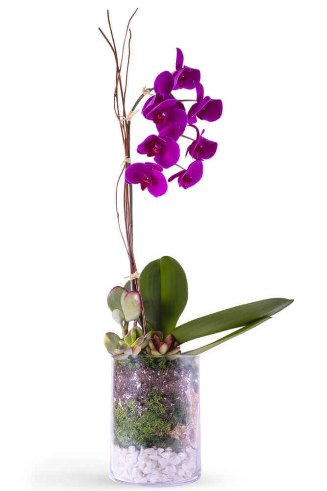 sympathy flowers