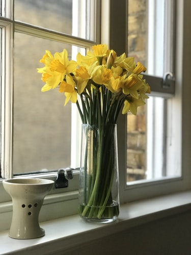 Best Online Flower Delivery- SnapBlooms.com