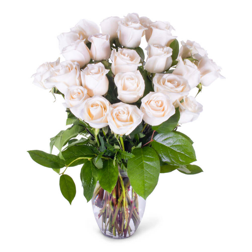 cocoa beach fl florist- SnapBlooms.com