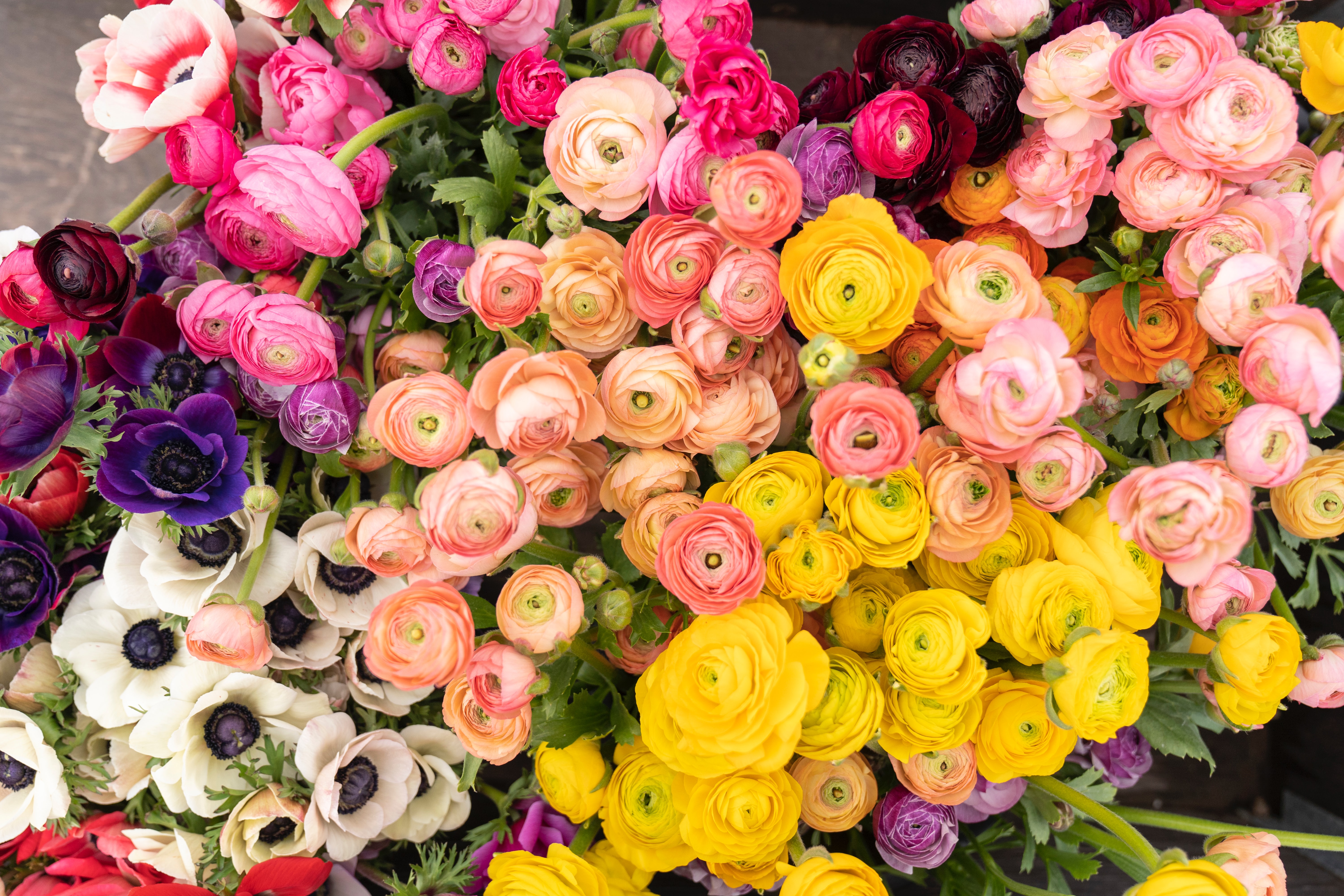 Valentine Flower Delivery Jersey City