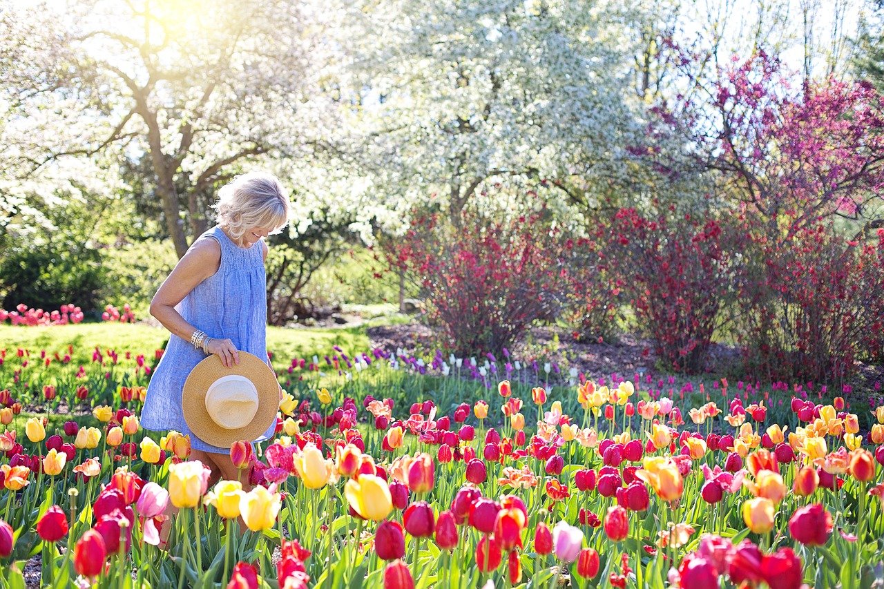 Tulips flower for womens day