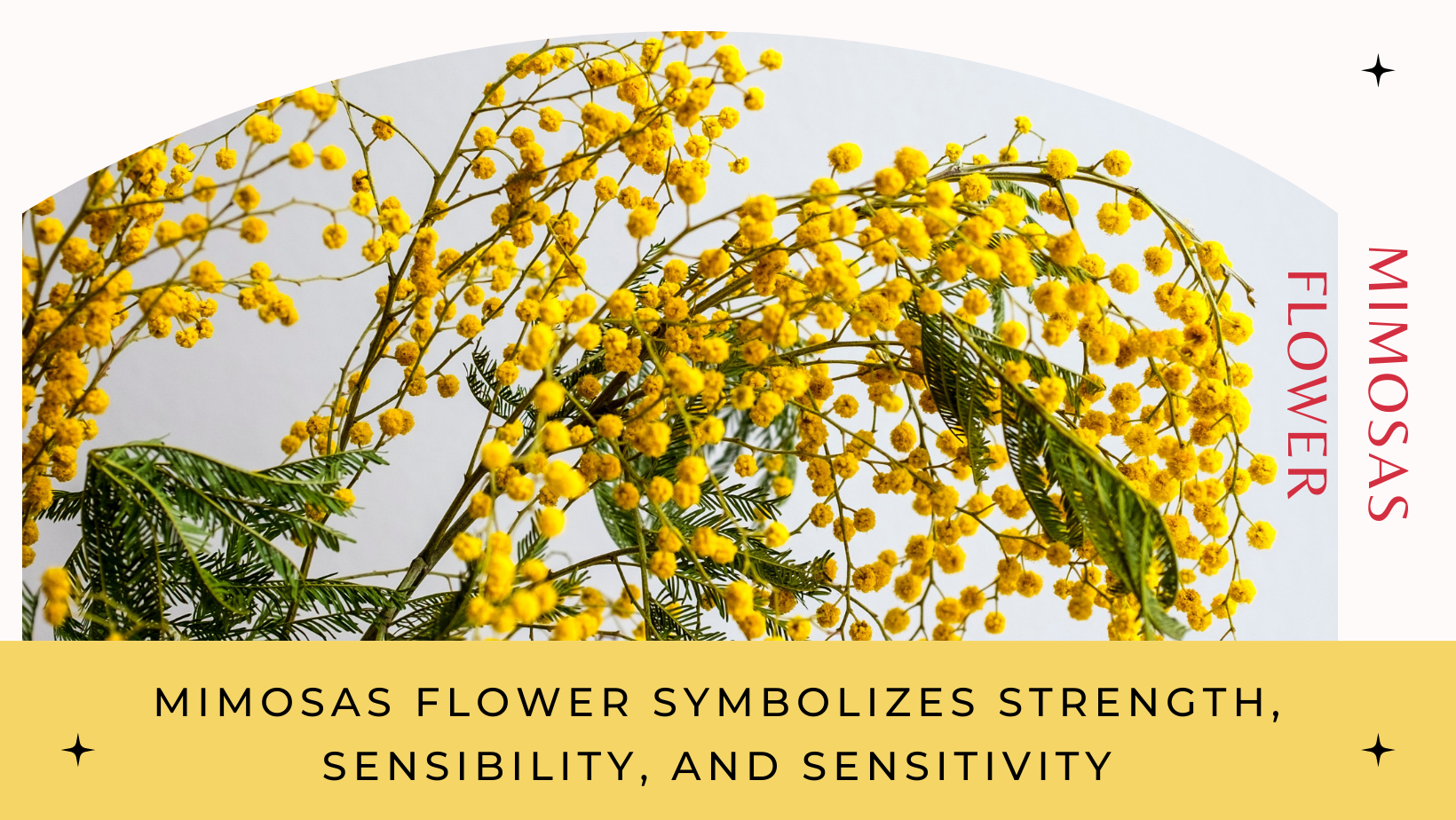 6 Symbolic Flowers To Gift On