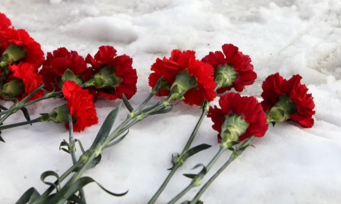 Carnations flowers- Flower queen