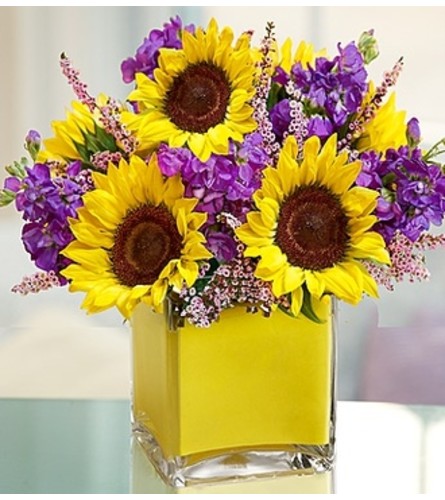 Sunflowers for birthday