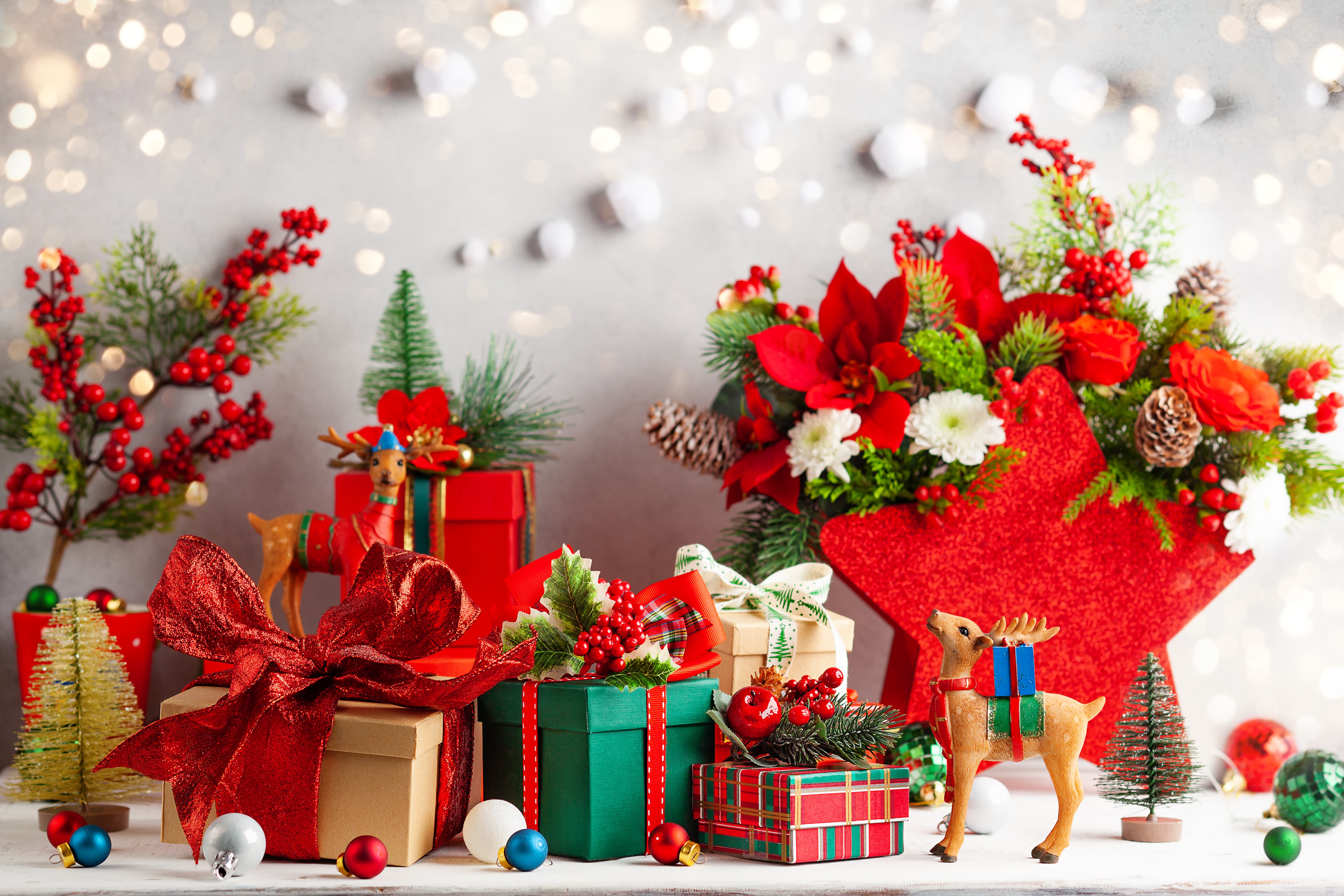 Best Christmas Flowers for Decorating Your Home