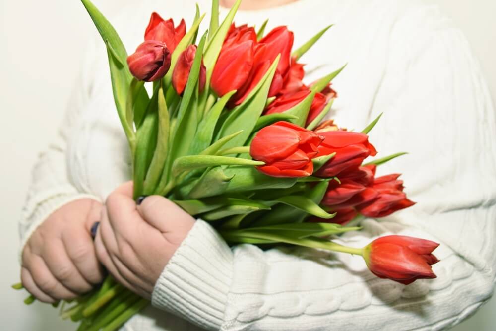 Red Tulips for valentine day