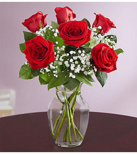 Love’s Embrace™ Red Roses - Valentine's Day flowers