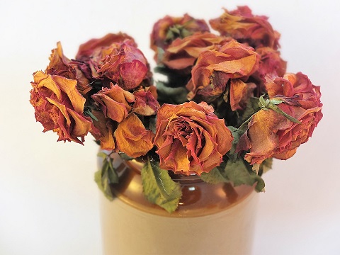 Dried Bouquet