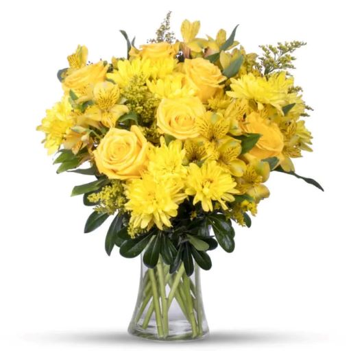 Yellow Roses