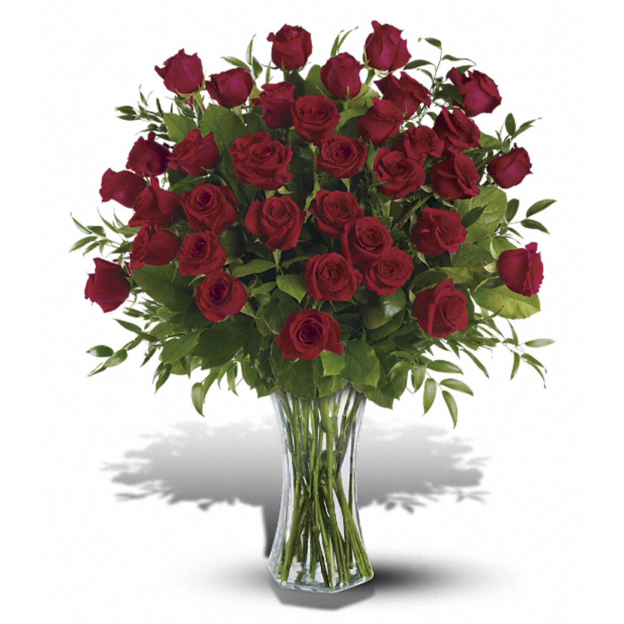 3 Dozen Roses - Prestons Florist
