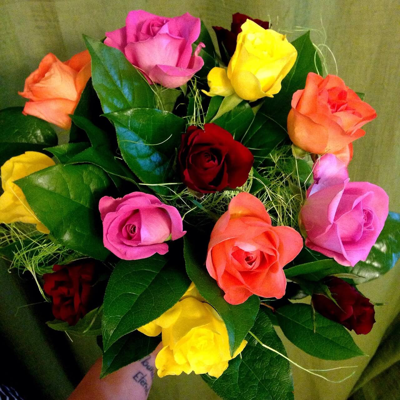 Multicolored Roses