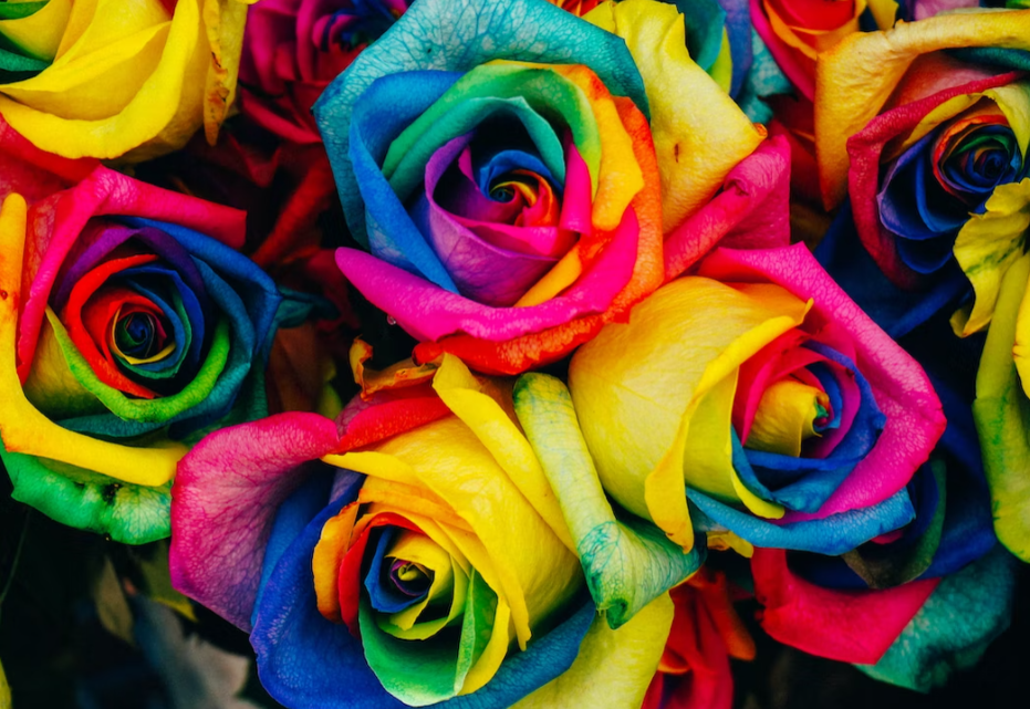 Rainbow Rose flower delivery