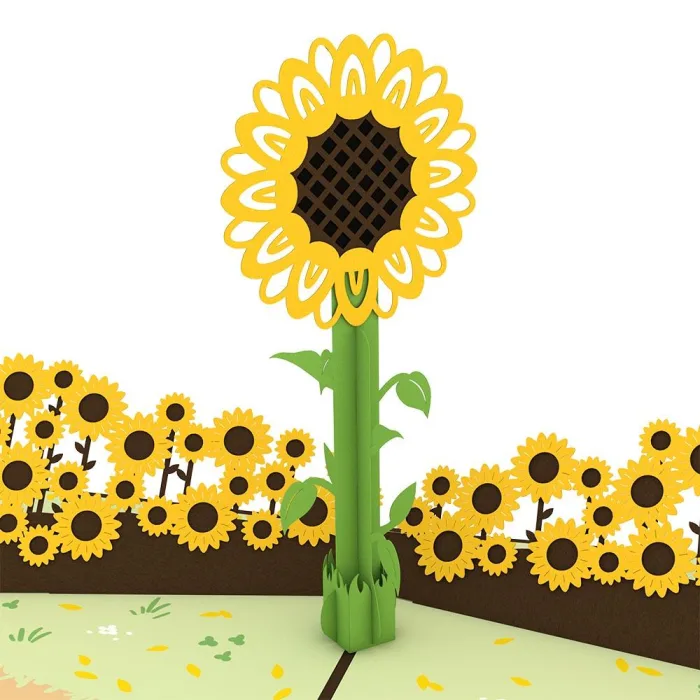 Sunflower pop-up greeting card in Tempe, Arizona