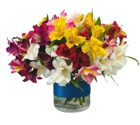 ALSTROEMERIA LILY FLOWER ARRANGEMENT IN TEMPE, ARIZONA