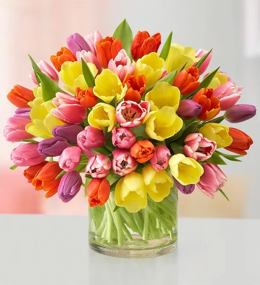 Assorted Tulips - 60 Stems - Glendale Florist