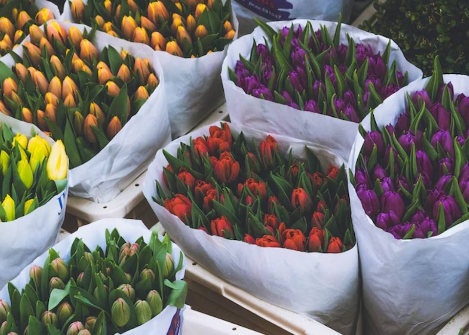 Flowers for Mothers day