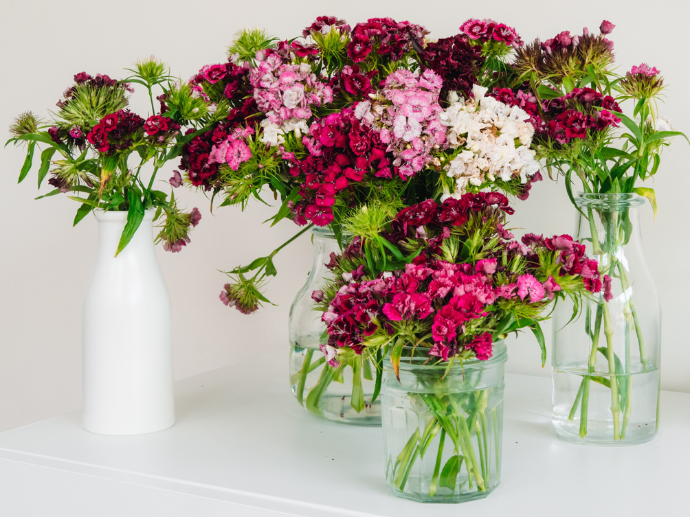 vased arrangements flower delivery bronx ny