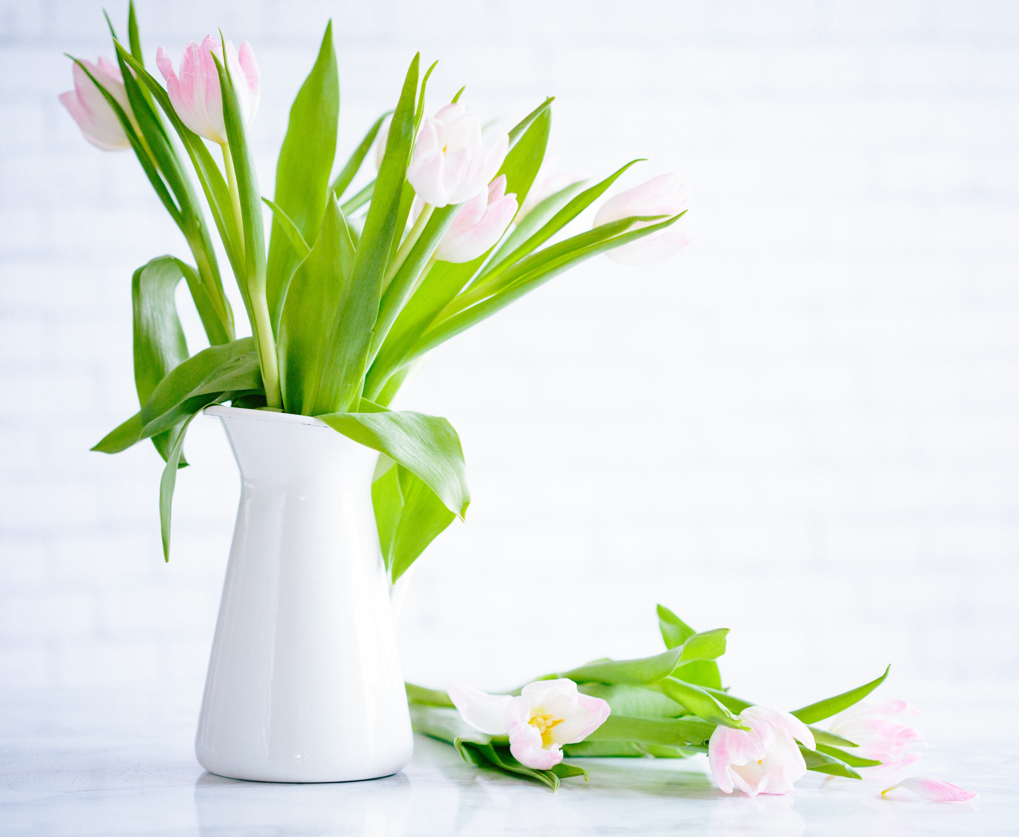 flower vase with flowers- Flowerland