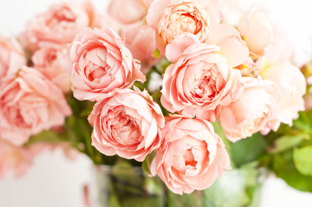 Peonies flowers - Glendale florist