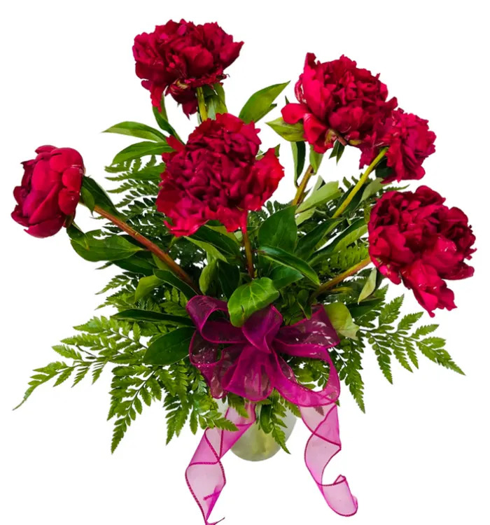 6 OR 12 PEONIES IN A VASE V-1413