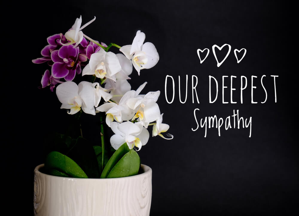 Orchids - Sympathy Flowers