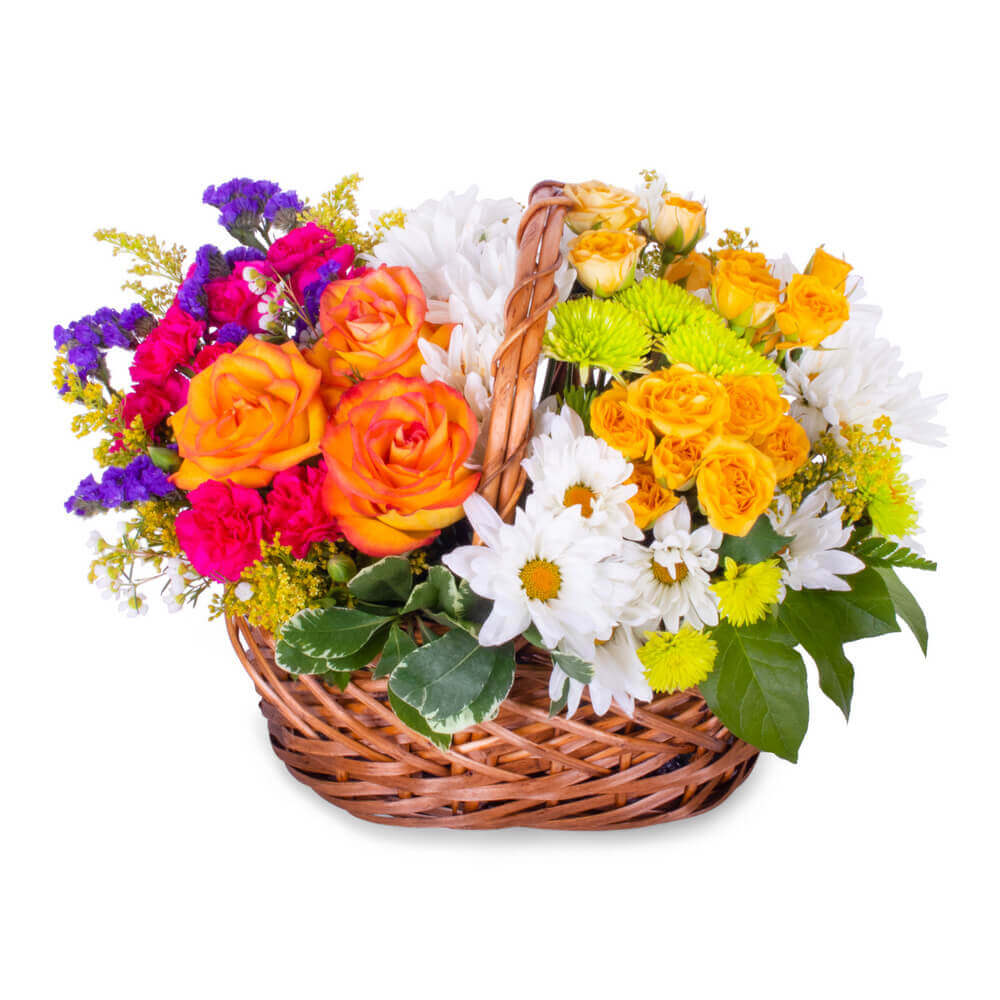 CHEERFUL BASKET