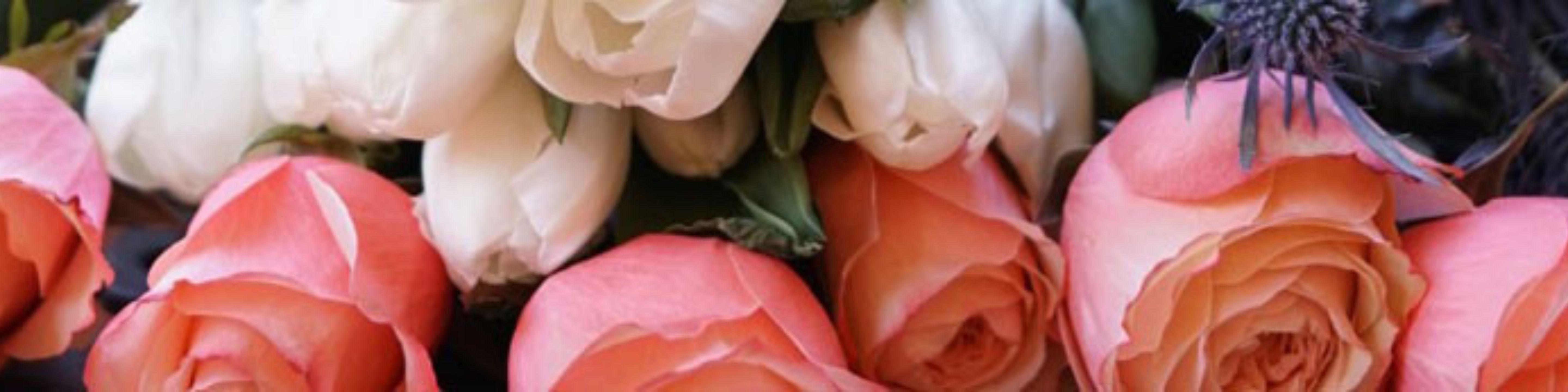 A picture of orange roses and thistle