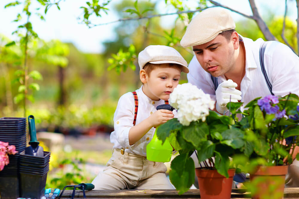 Flower planting on friendship day