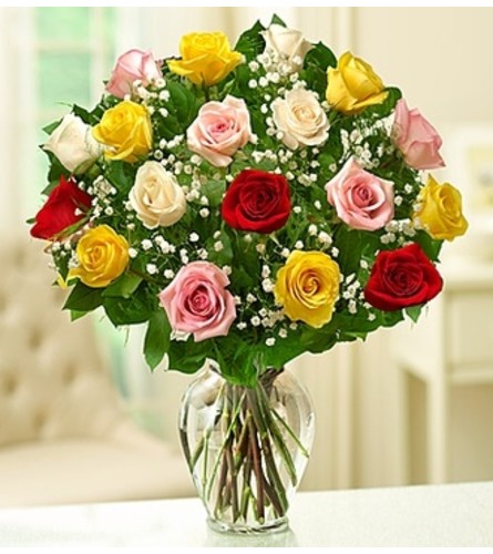 Rose Elegance™ Premium Assorted Roses - Dibiaso's Florist