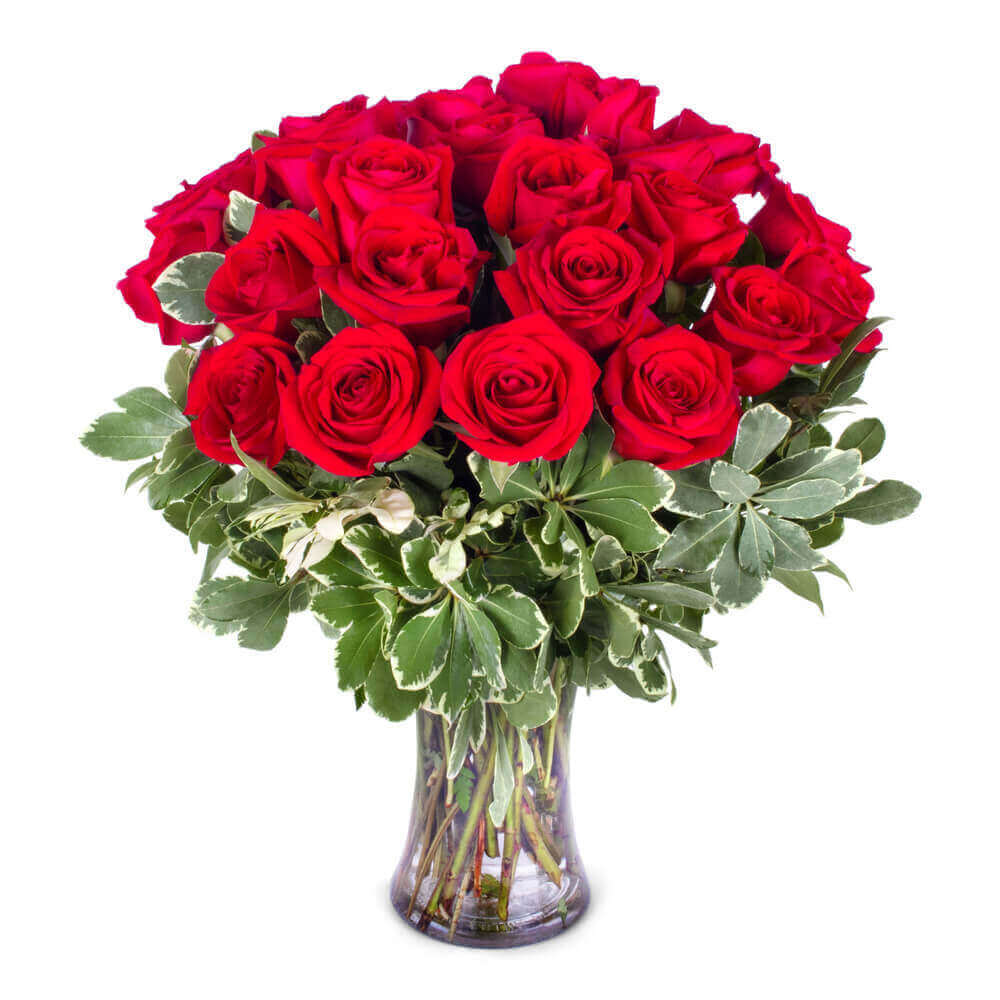 RED ROSES! - Waterville Florist