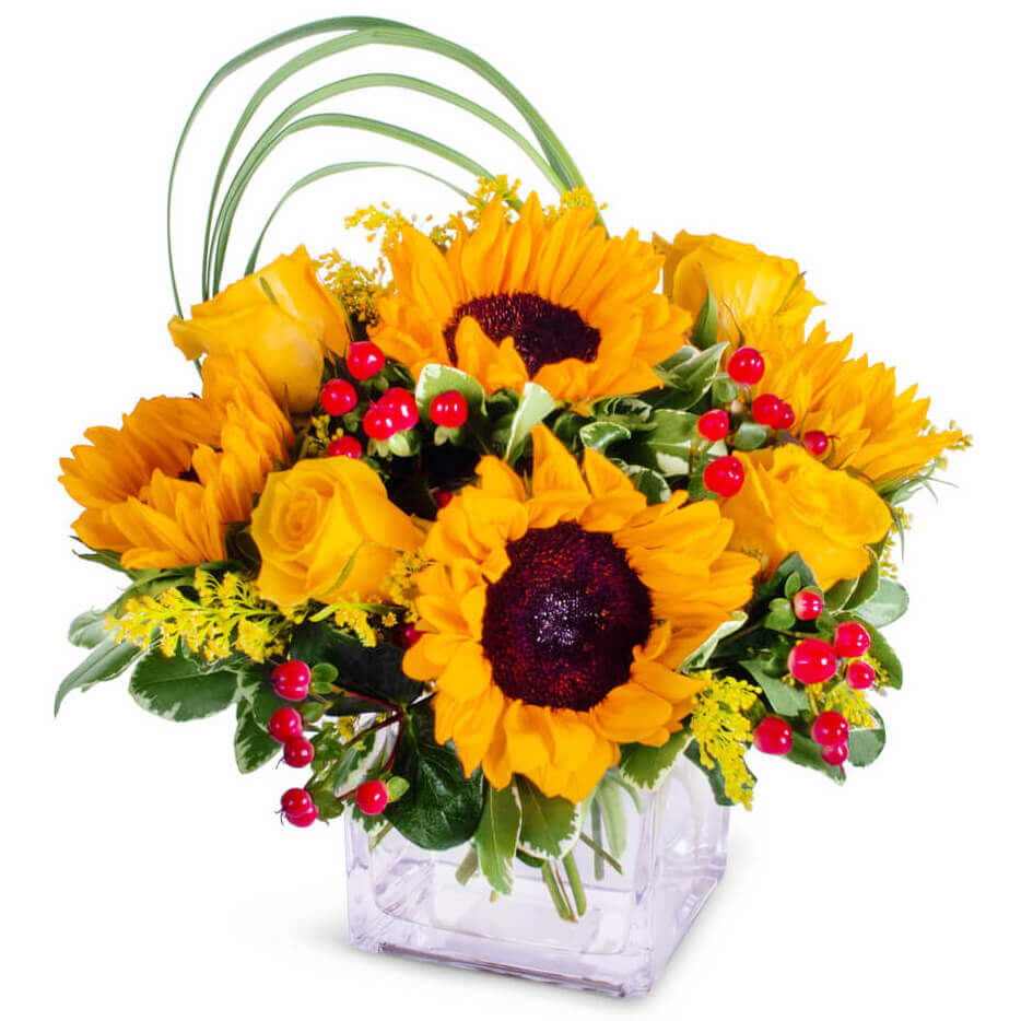 SUNFLOWER GLORY - Waterville Florist