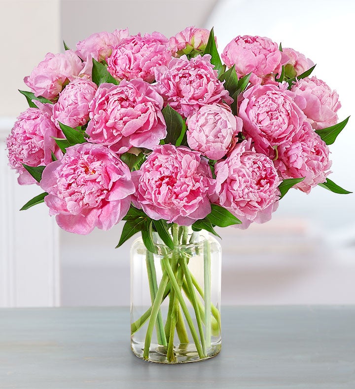a picture of Pink peonies