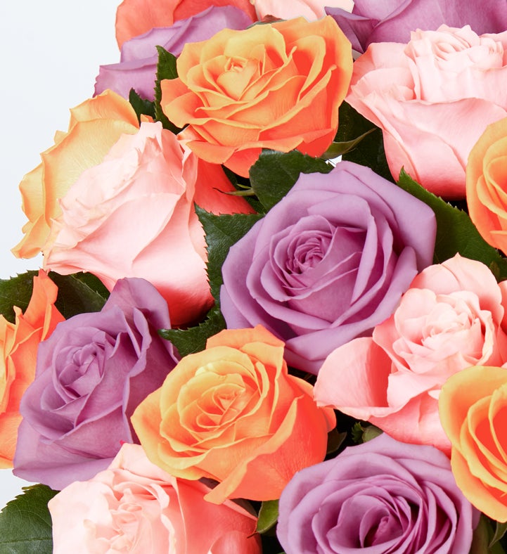 A picture of Colored roses