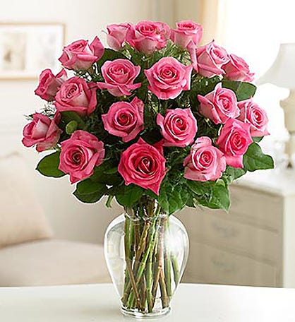 A picture of Deep Pink Roses