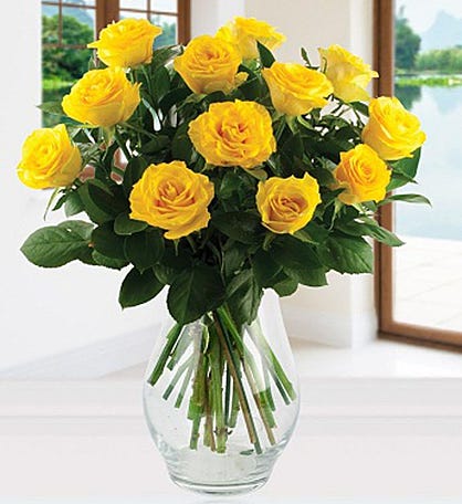 A picture of Yellow Roses