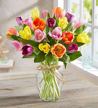 Timeless Tulips - Glendale florist