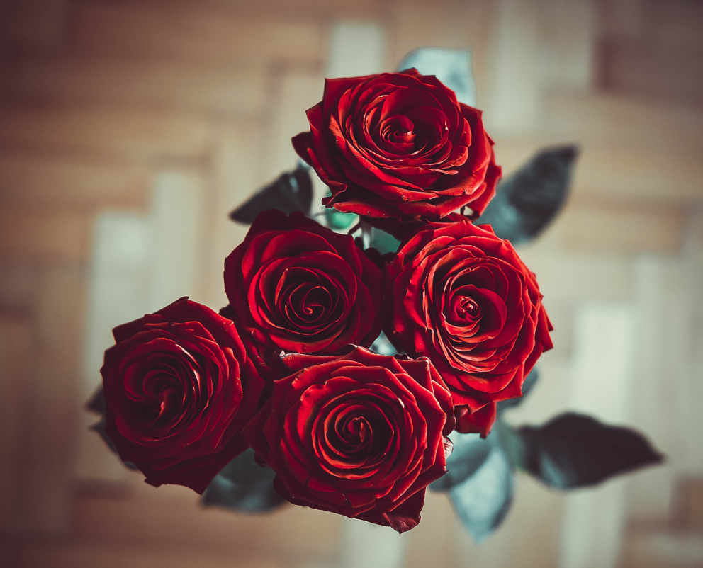 Romantic red rose bouquet- florists greensboro NC