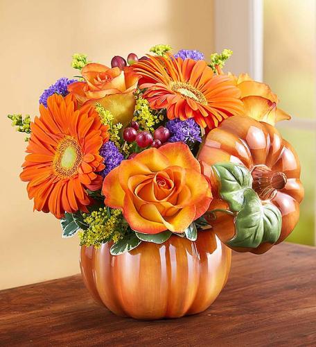 Pumpkin Petals - Commack Florist