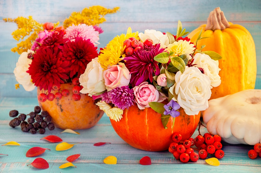What are the Most Popular Halloween Flowers?