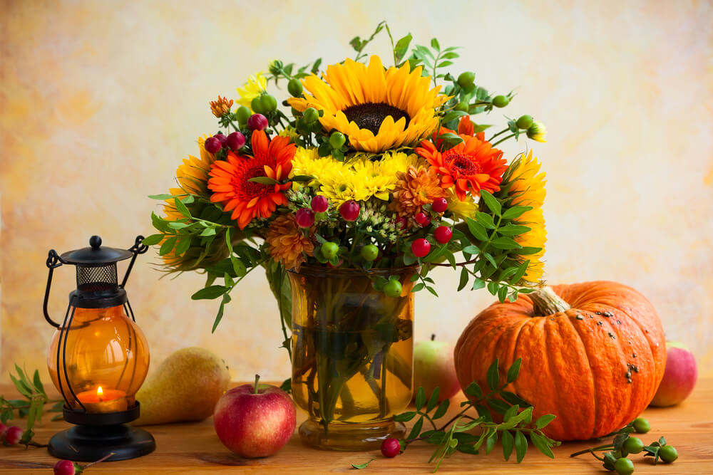 Halloween Flower - st louis mo