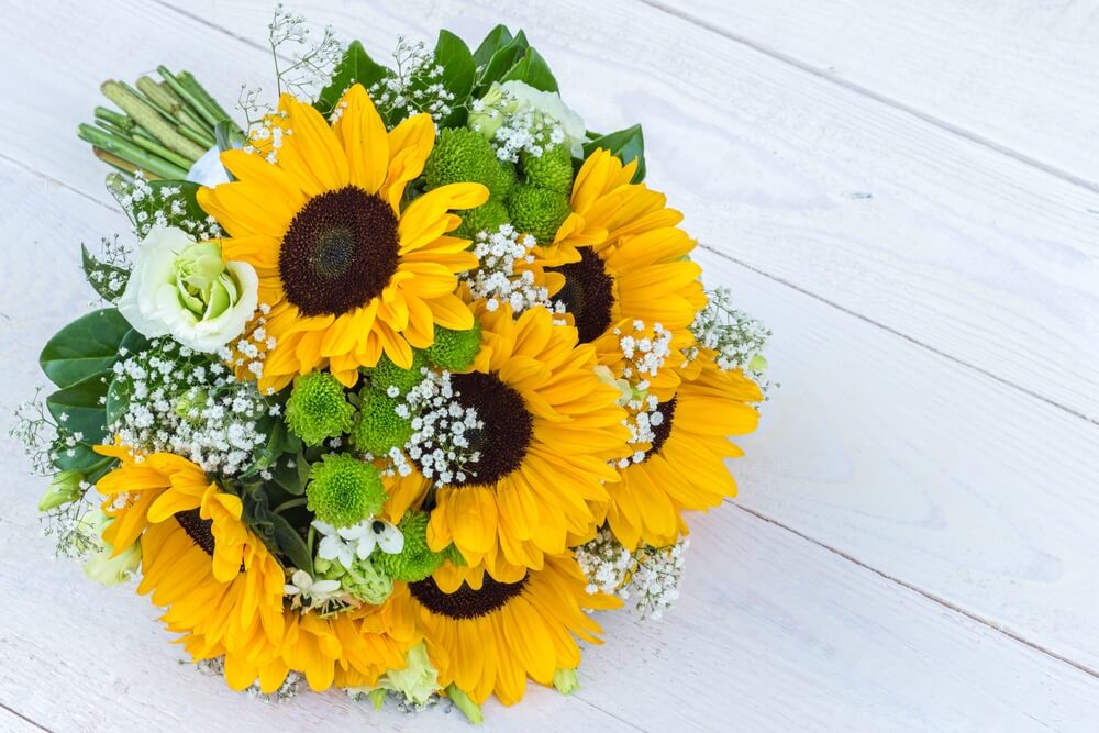 sunflowers for Valentine's Day