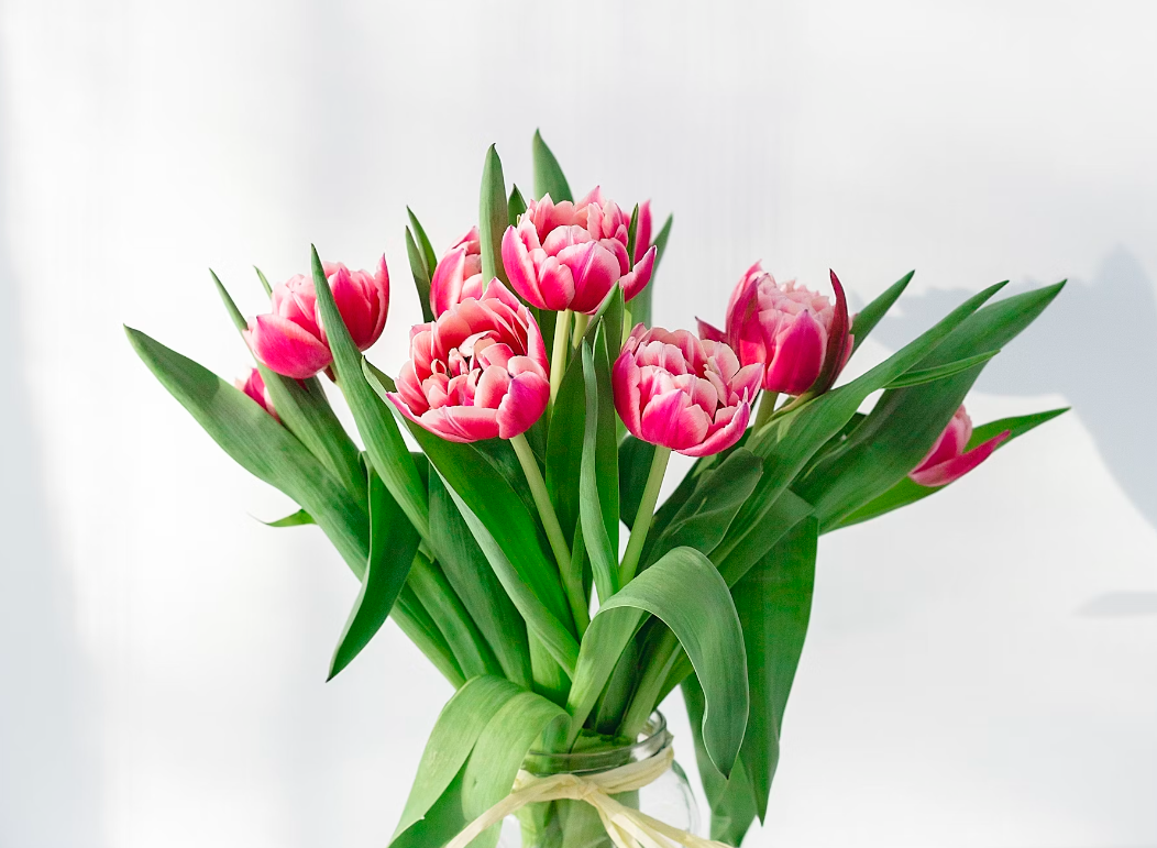 Tulip flower Bouquet