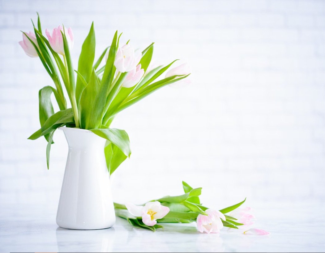 tulip flower bouquet