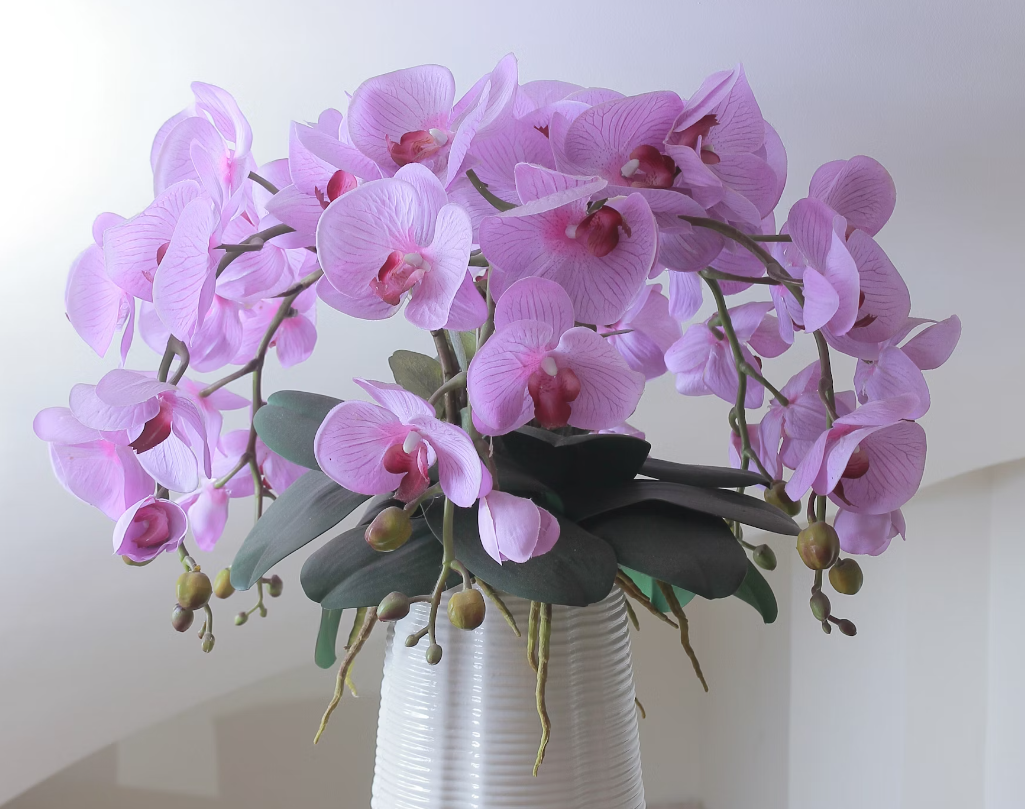 Orchid best flowers for anniversary