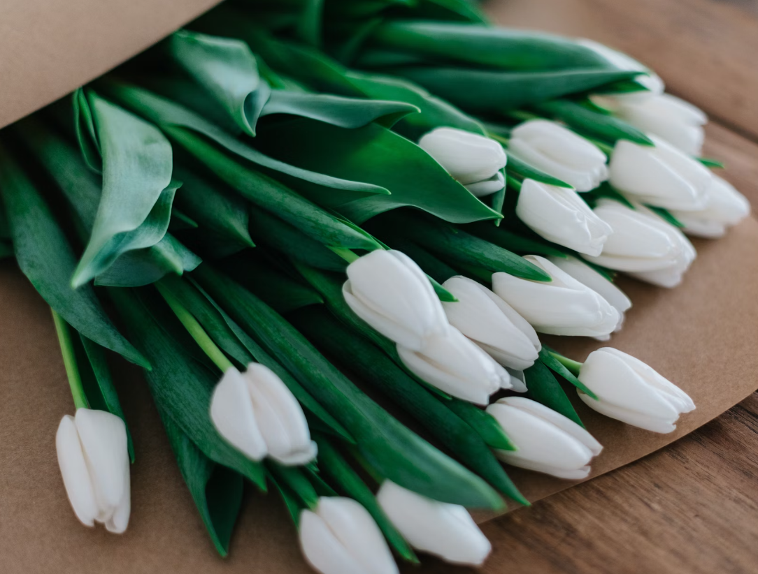 White tulips for funeral