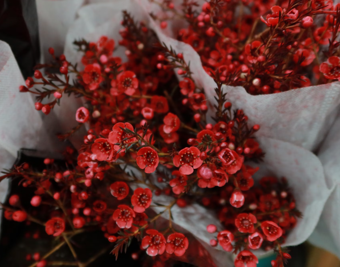 Christmas flower delivery decatur ga