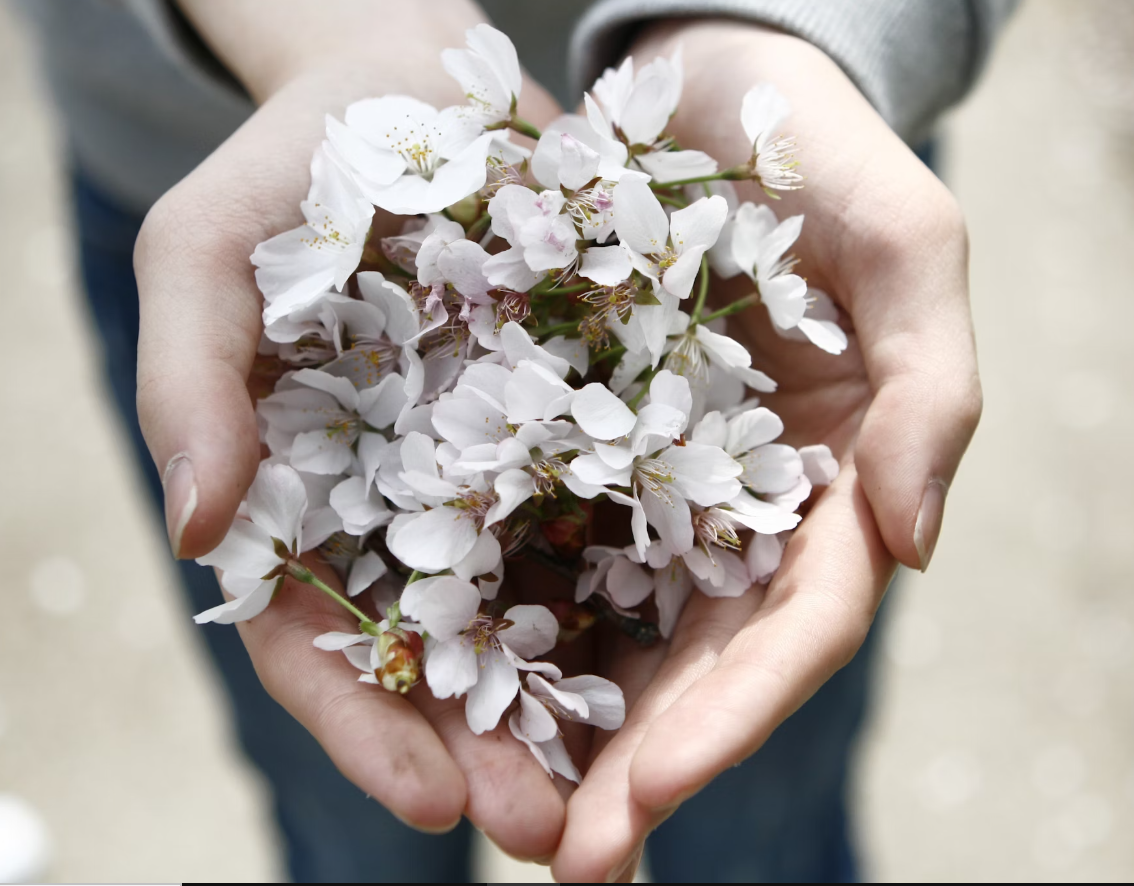 winter flower care