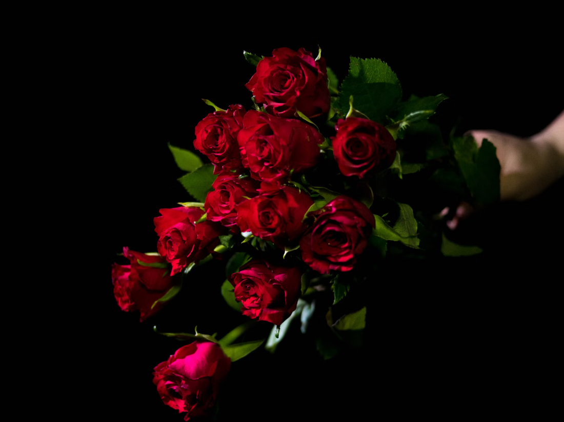 Red rose online