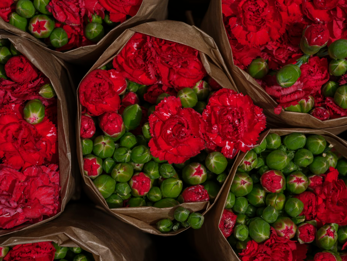 Red flowers